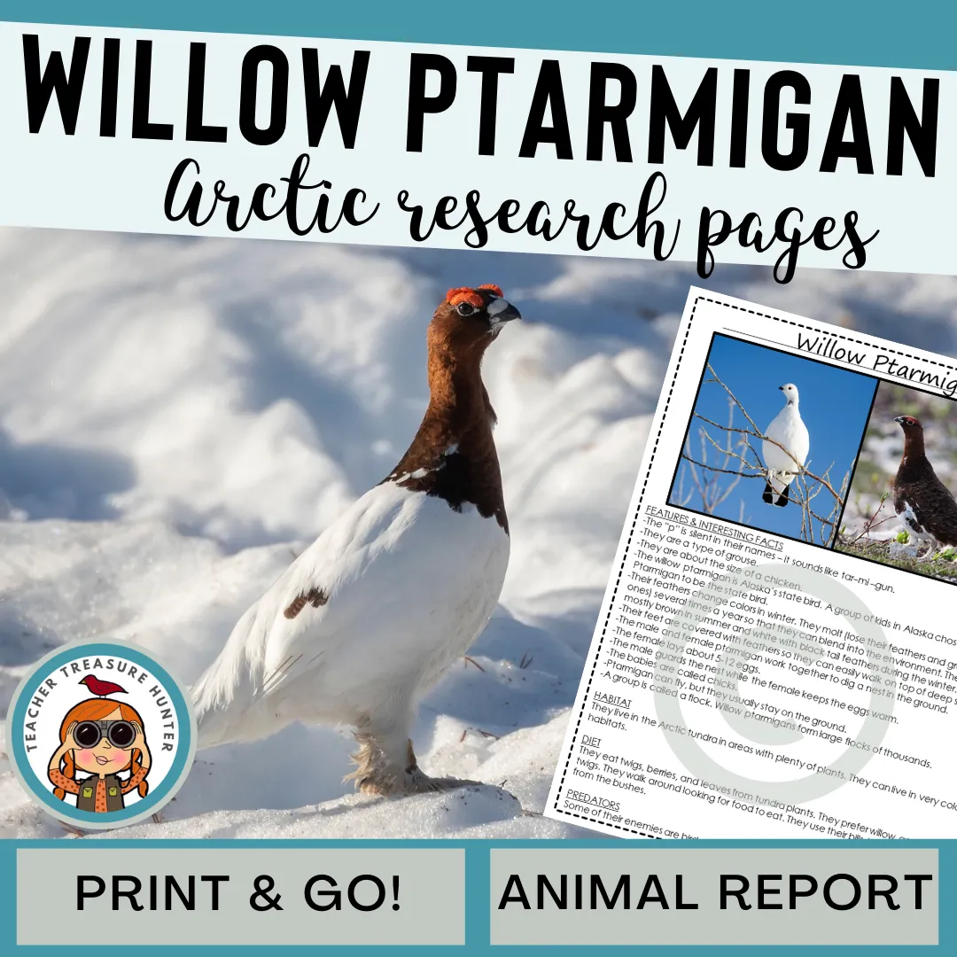 Willow Ptarmigan Arctic bird Research Page for writing Arctic animal reports